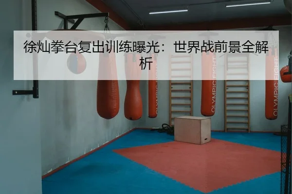 徐灿拳台复出训练曝光：世界战前景全解析